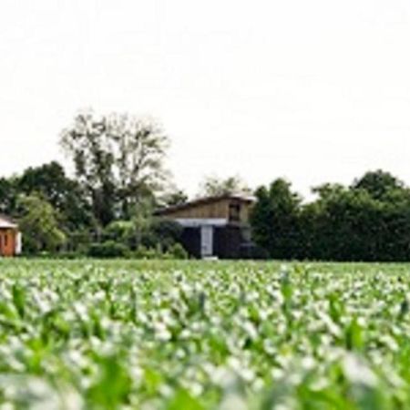 Апартаменты Demeterhof Duenninger Hofheim in Unterfranken Экстерьер фото